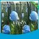 white color bags to protect fruit on trees wholesale for pear and vegetable 1