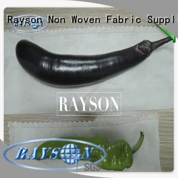 Rayson Non Woven Fabric white color fruit exclusion bags supplier for banana 1