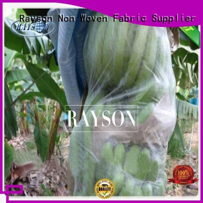 agriculture apple fruit bags friendly for pear and vegetable Rayson Non Woven Fabric 1