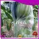 agriculture apple fruit bags friendly for pear and vegetable Rayson Non Woven Fabric 1