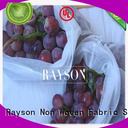 heat sealing apple fruit bags manufacturer for home furnishings 1