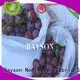 heat sealing apple fruit bags manufacturer for home furnishings 1