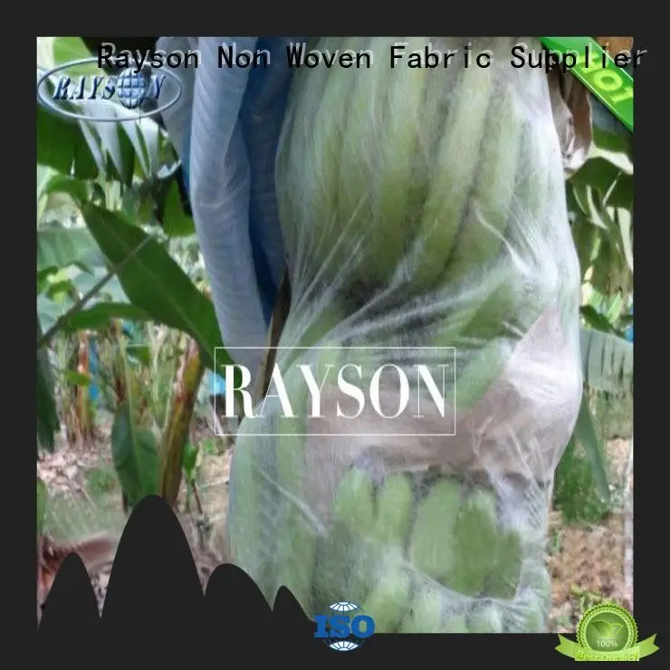 Rayson Non Woven Fabric high quality bags to cover fruit on trees witer for home furnishings 1