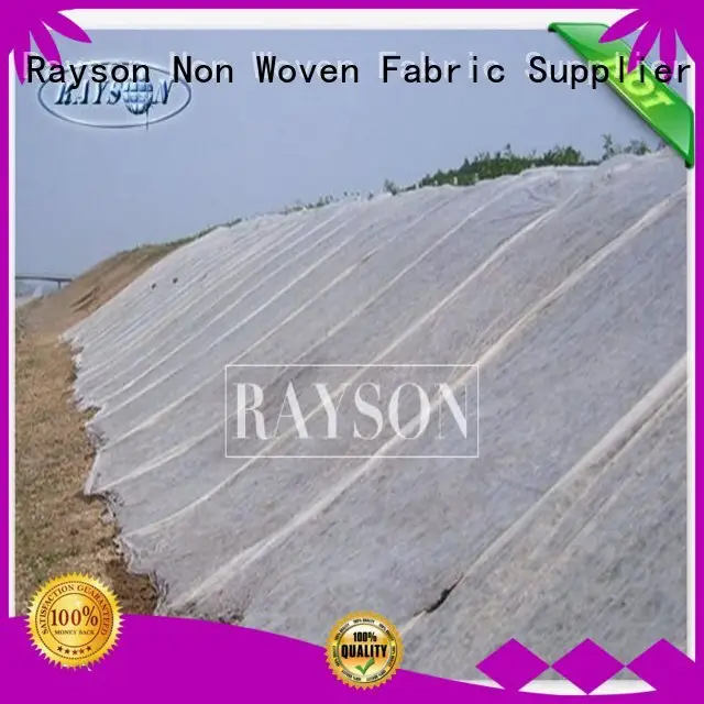 Rayson Non Woven Fabric high quality insulated pots for plants test for weed control 1
