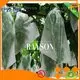 heat fruit cover mesh manufacturer for home furnishings Rayson Non Woven Fabric 1