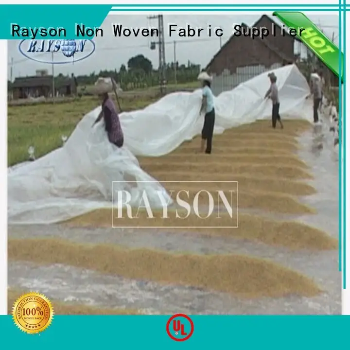 customized green garden fleece series for weed control Rayson Non Woven Fabric 1