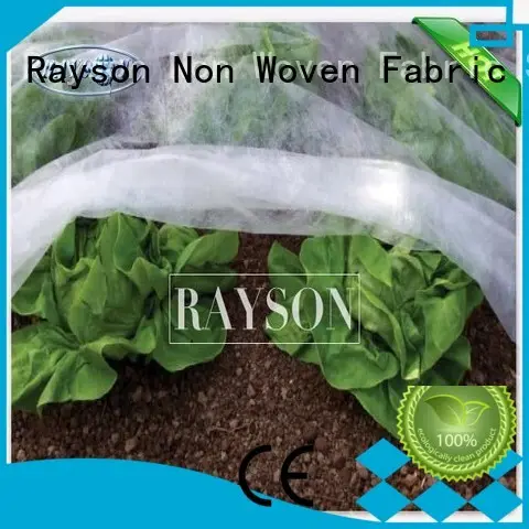 20-50gsm Winter Frost Fleece Cover For Agriculture Grade A Tensile Strenght 1