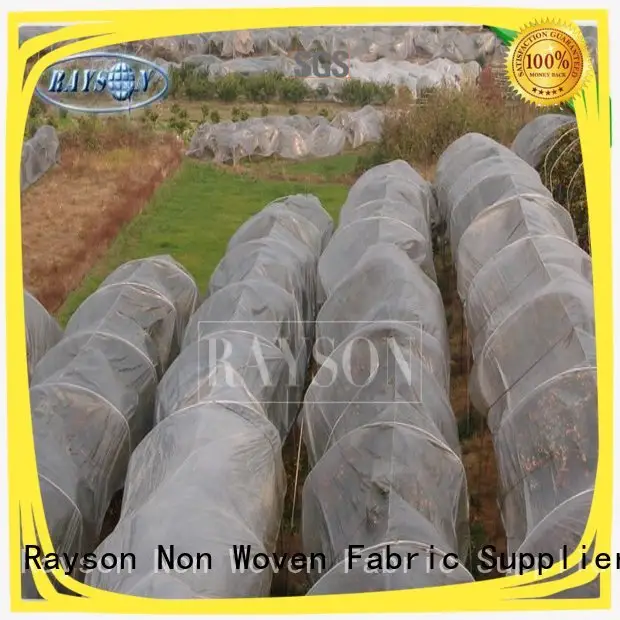 34 gsm UV 3% White Color Polypropylene Frost Protection Fleece Used For Agricultural Crop Cover 1