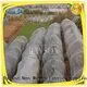 34 gsm UV 3% White Color Polypropylene Frost Protection Fleece Used For Agricultural Crop Cover 1