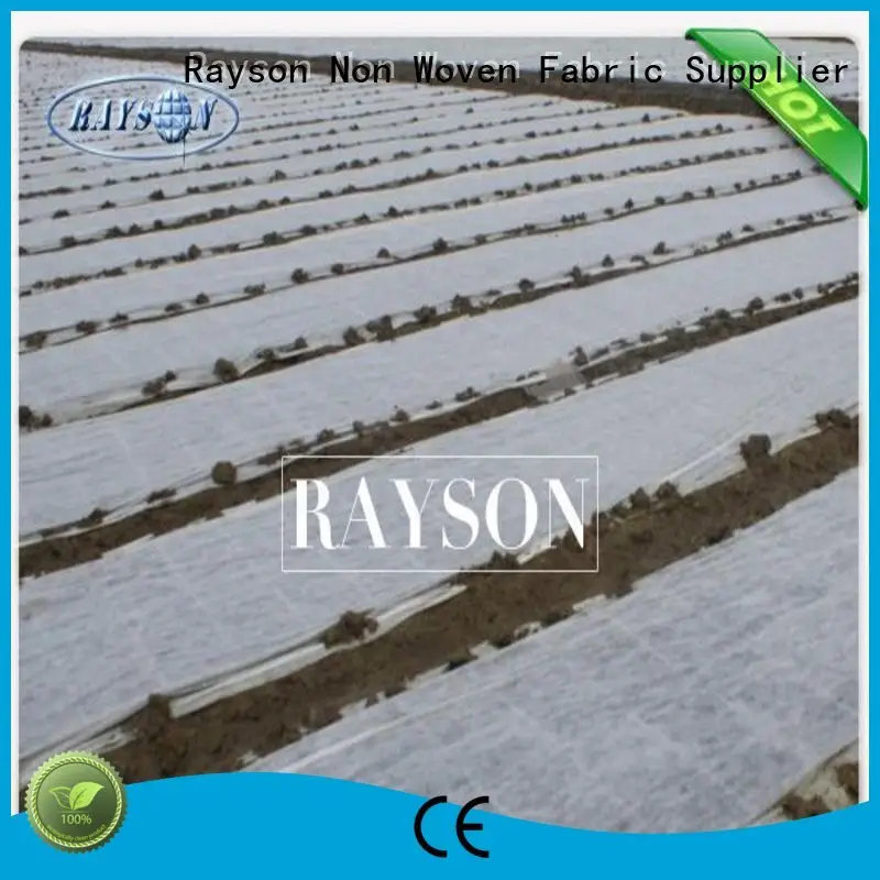 100% Virgin Polypropylene Extra White Hight Strength Fleece Bags for Plants Protection In 17 GSM 1