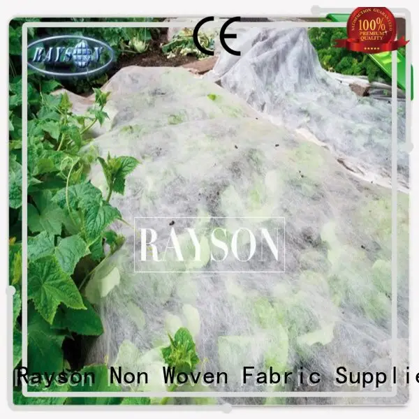 UV Ttreated PP Spunbond Frost Protection Fleece Biodegradable Landscape Fleece 40gram 1