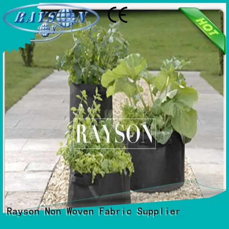 Heat Seal Black Non Woven Cultivating  Bag In PPNW For Grow Seedlings Planting Bags 1