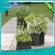 Heat Seal Black Non Woven Cultivating  Bag In PPNW For Grow Seedlings Planting Bags 1