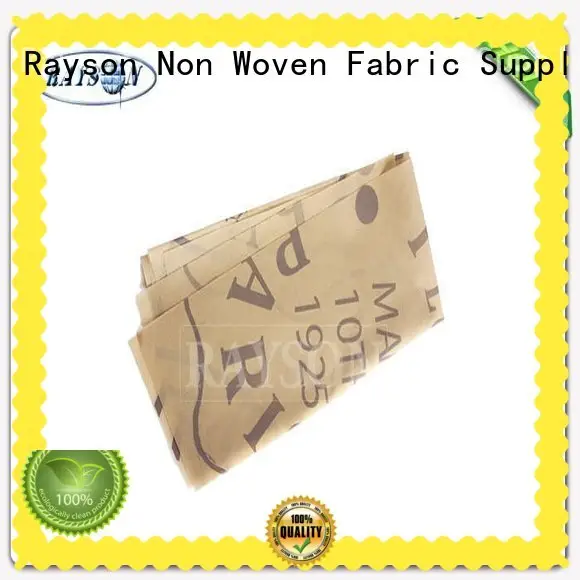 Rayson Non Woven Fabric mask wholesale for home 1