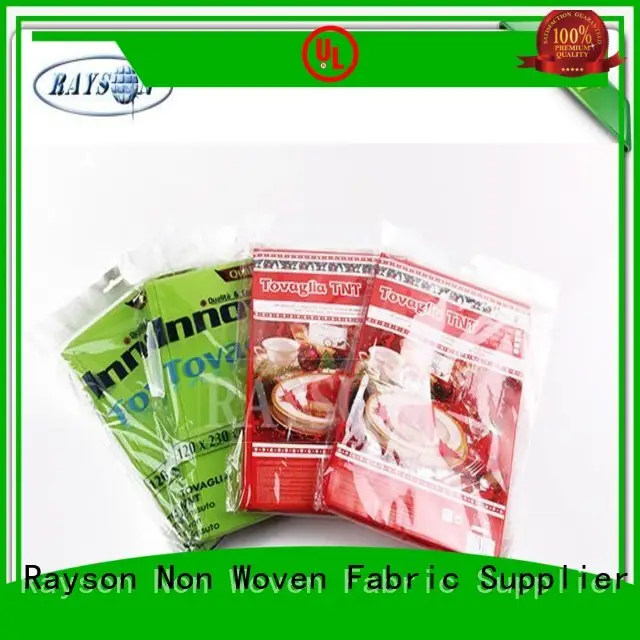 Rayson Non Woven Fabric white supplier for picnic 1