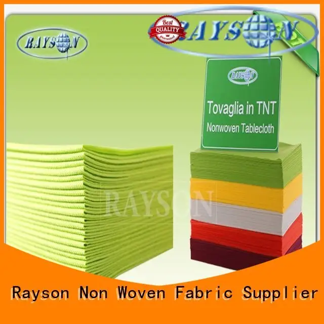 Rayson Non Woven Fabric high quality banquet for picnic 1