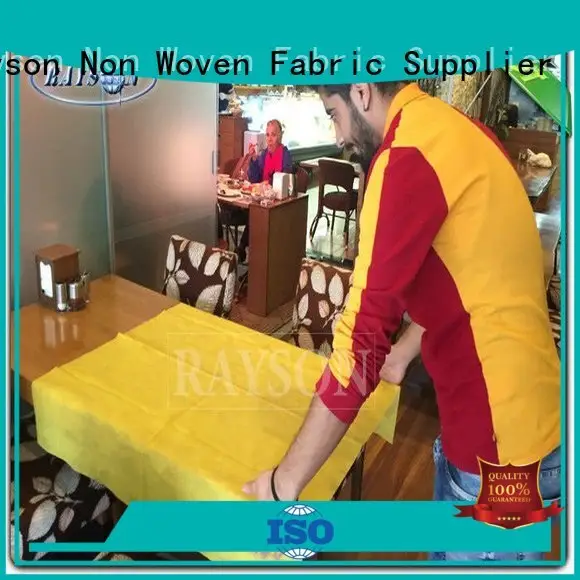 Rayson Non Woven Fabric high quality wholesale for home 1