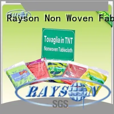 Rayson Non Woven Fabric high quality supplier for hotel1 1