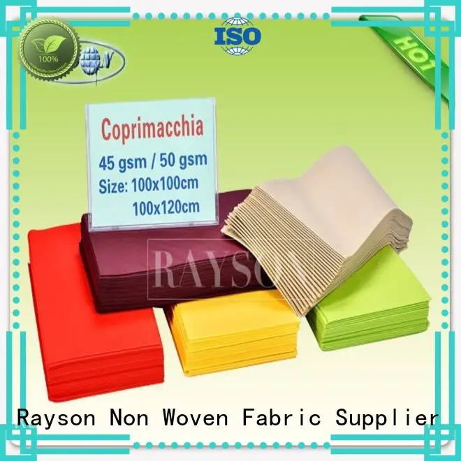 populared manufacturer for hotel Rayson Non Woven Fabric 1