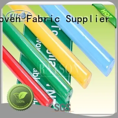 Rayson Non Woven Fabric party supplier for picnic 1