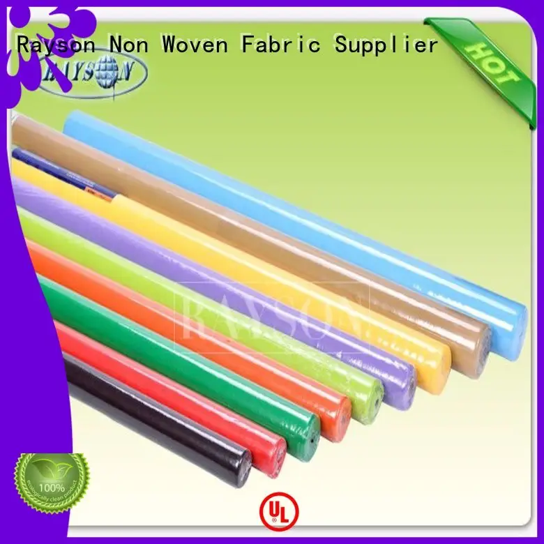 Rayson Non Woven Fabric 38g manufacturer for hotel 1