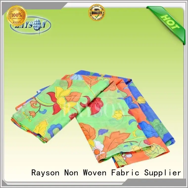 Rayson Non Woven Fabric skin non woven fabric china Suppliers for sofa upholstery 1