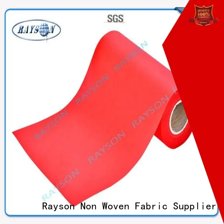 Rayson Non Woven Fabric Best polypropylene material for sale factory for sofa upholstery 1