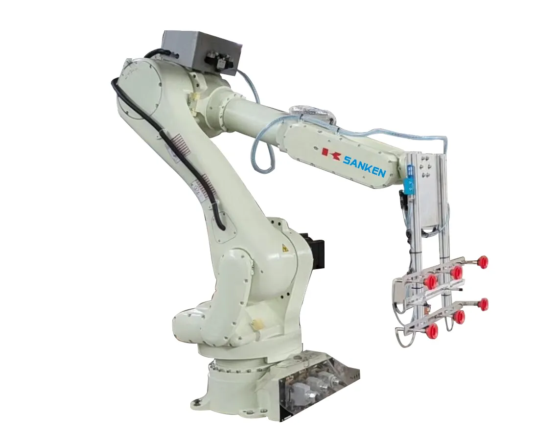 Automatic Handing Robot - RS050N-B