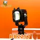 Car Ambient Light 12V-80V - - Baobao Lighting 3