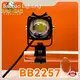 Car Ambient Light 12V-80V - - Baobao Lighting 1