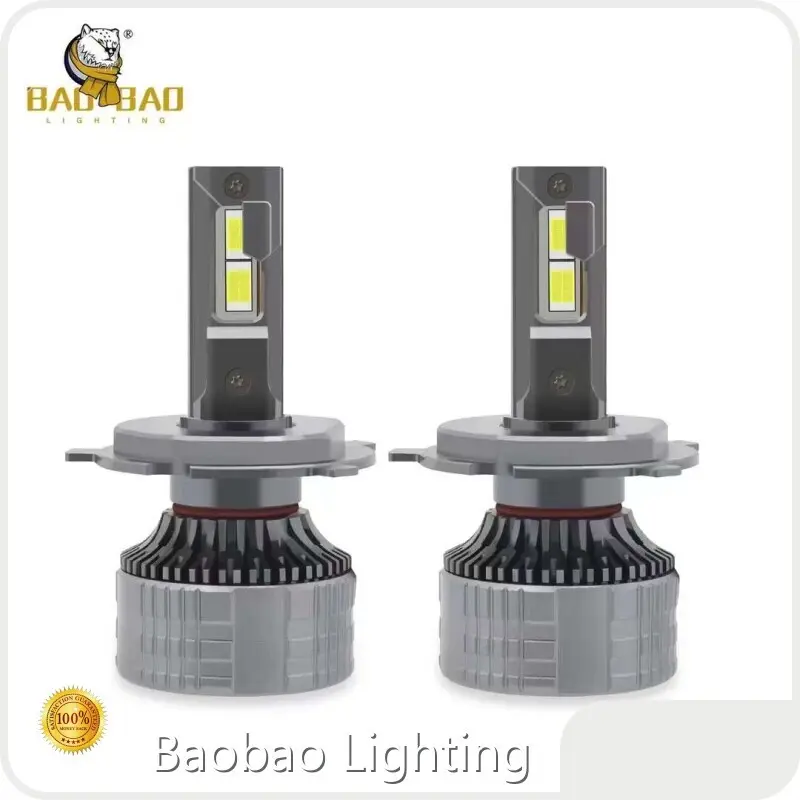 Led Light Bulbs for Cars Directly Sale IP67 Waterproof 1
