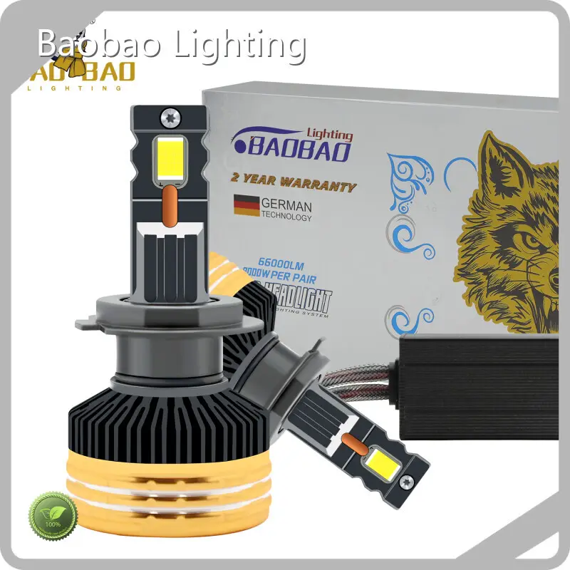 Custom Halogen Headlight Bulb Directly Sale 1