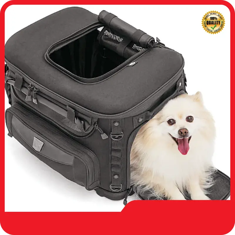 Reliable Neoprene Kid Backpack Manufacturing 1