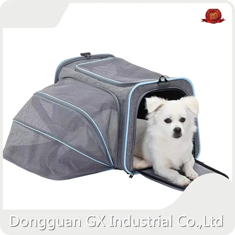Factory Direct Dog Bag Supply 1