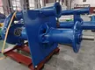 High-end Vertical Submerged Slurry Pump Vertical Submerged Slurry Pump Company 3