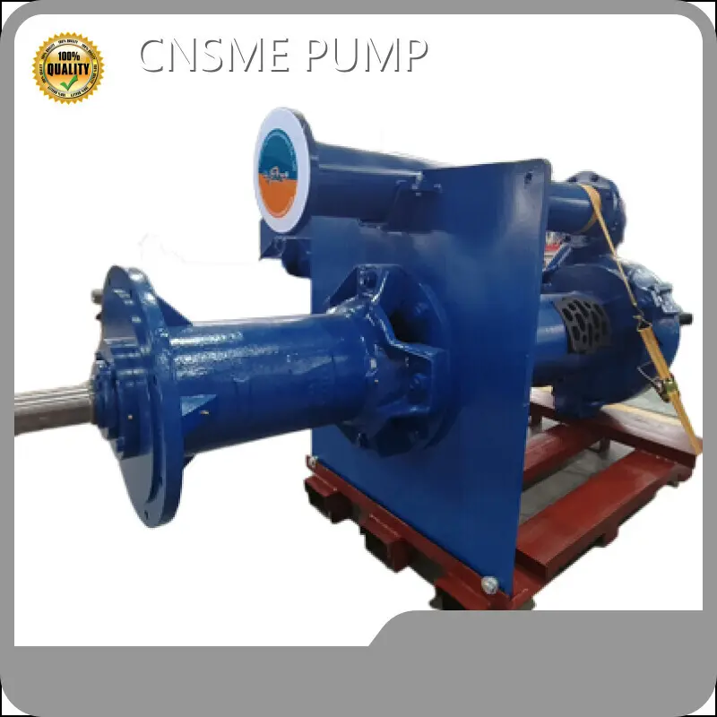 High-end Vertical Submerged Slurry Pump Vertical Submerged Slurry Pump Company 1