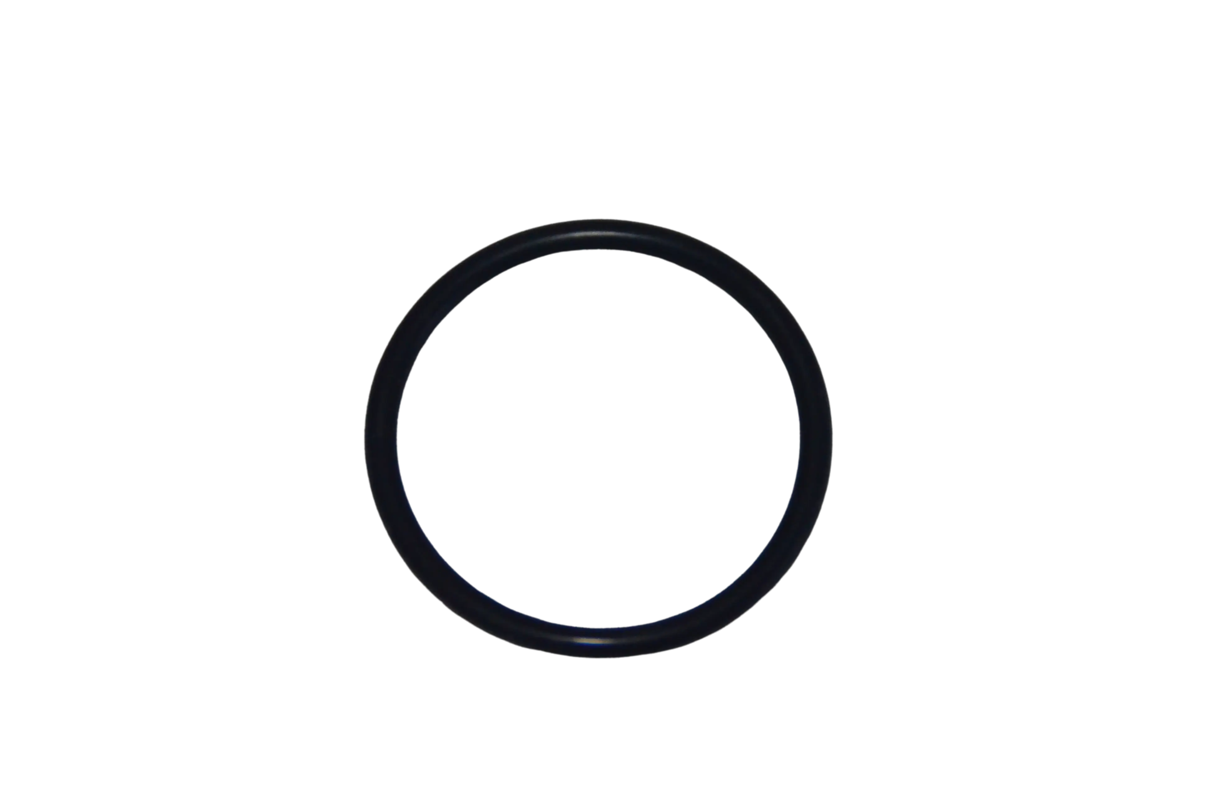 Impeller O-ring