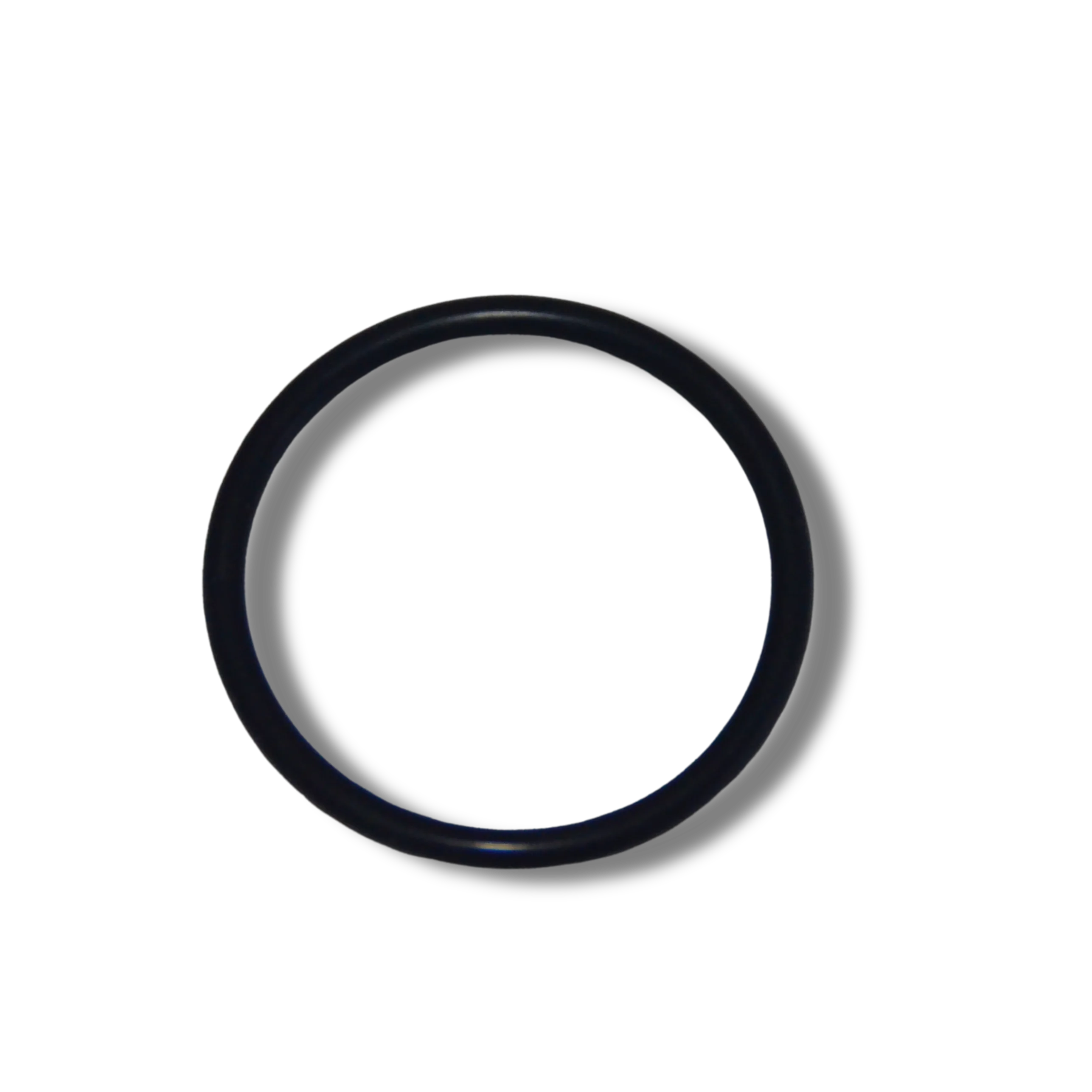 Impeller O-ring