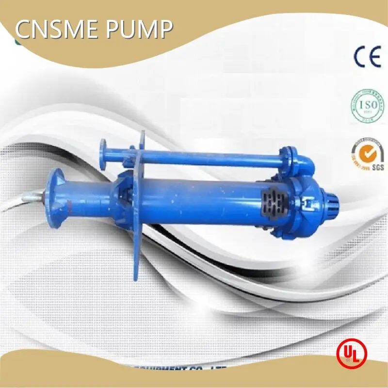 Wholesale Vertical Submerged Slurry Pump Distributor 1