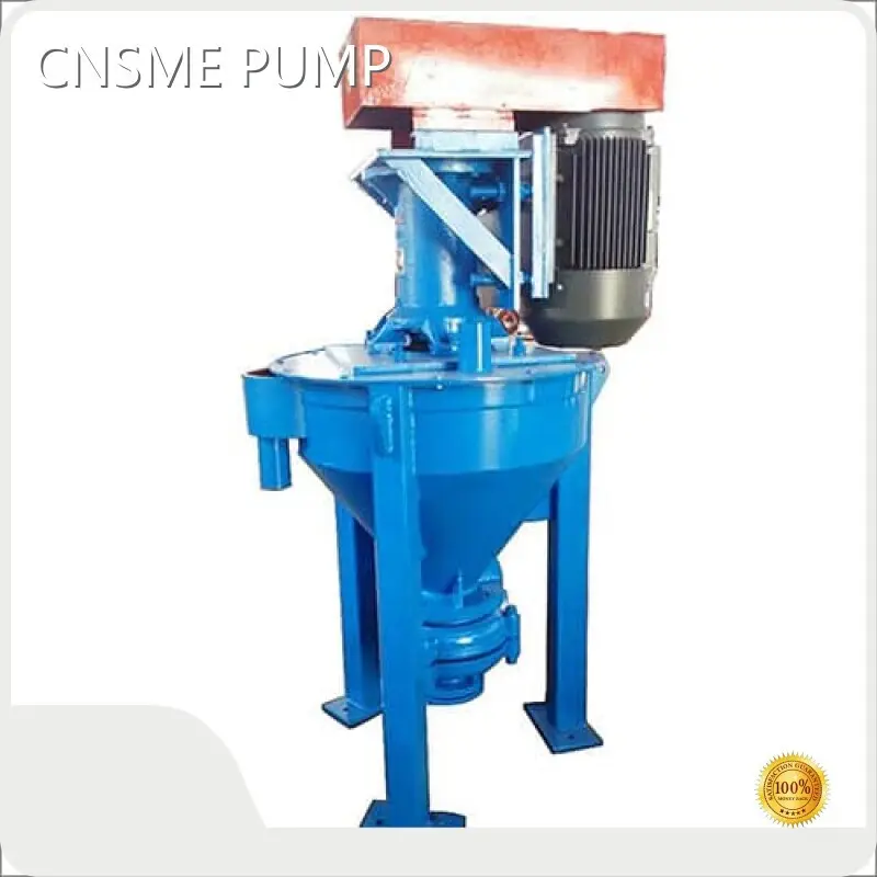 Low MOQ Vertical Froth Pump Company 1