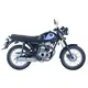 Twin Cylinder Motorcycle Wholesale - Baotian, Eternal 4
