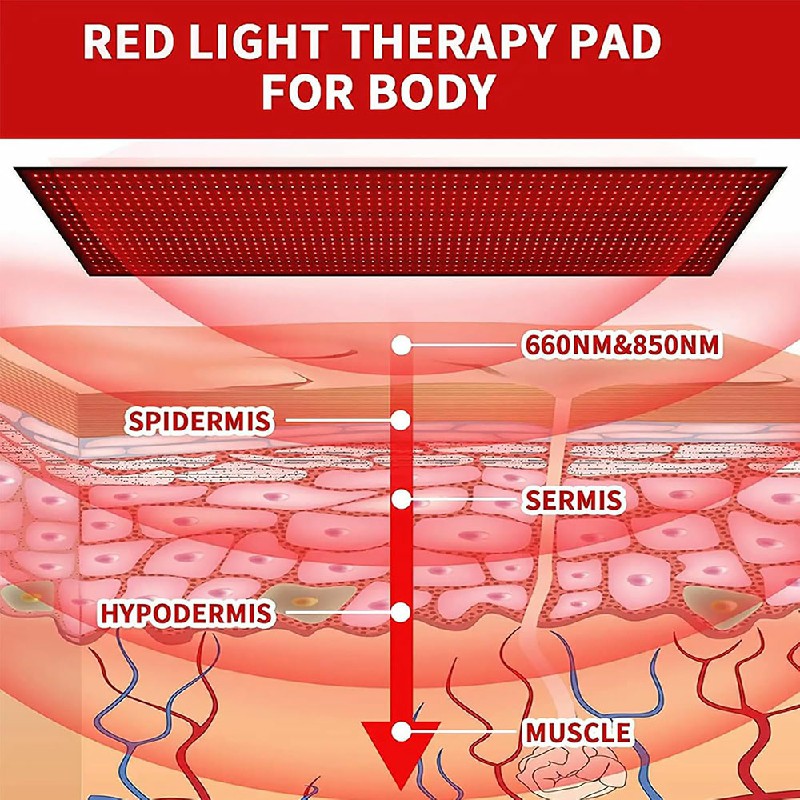 Red Light Therapy Pad Available by ILUXRED 4