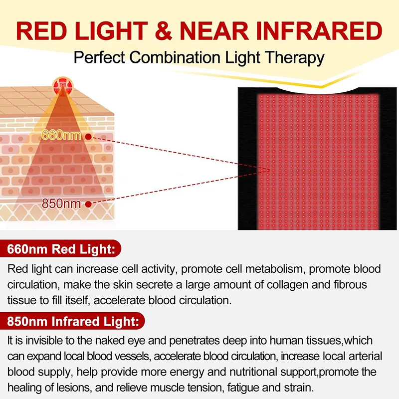 Buy Infrared Red Heating Pad Price List 3