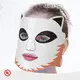Led Red Light Mask Cost DHL 1