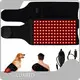 Latest Red Light Therapy Manufacturer Red Light Therapy Manufacturer Company 1