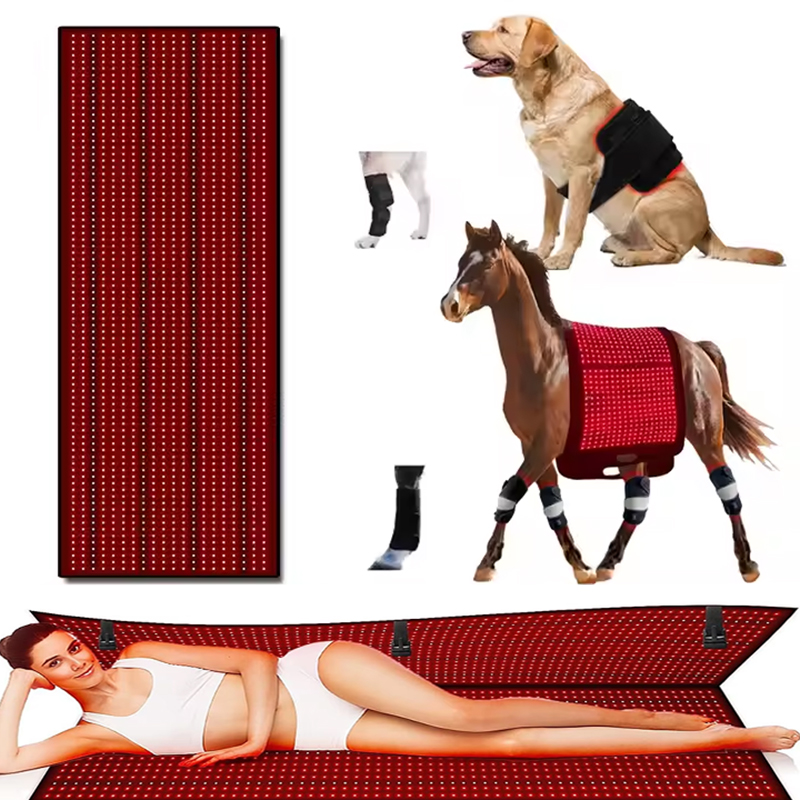 660 850nm Large Size Full Body Therapy Mat 160cm 180cm LED Red Light Bag for Head Body Health Care Sleep & Infrared Bed Mat 2