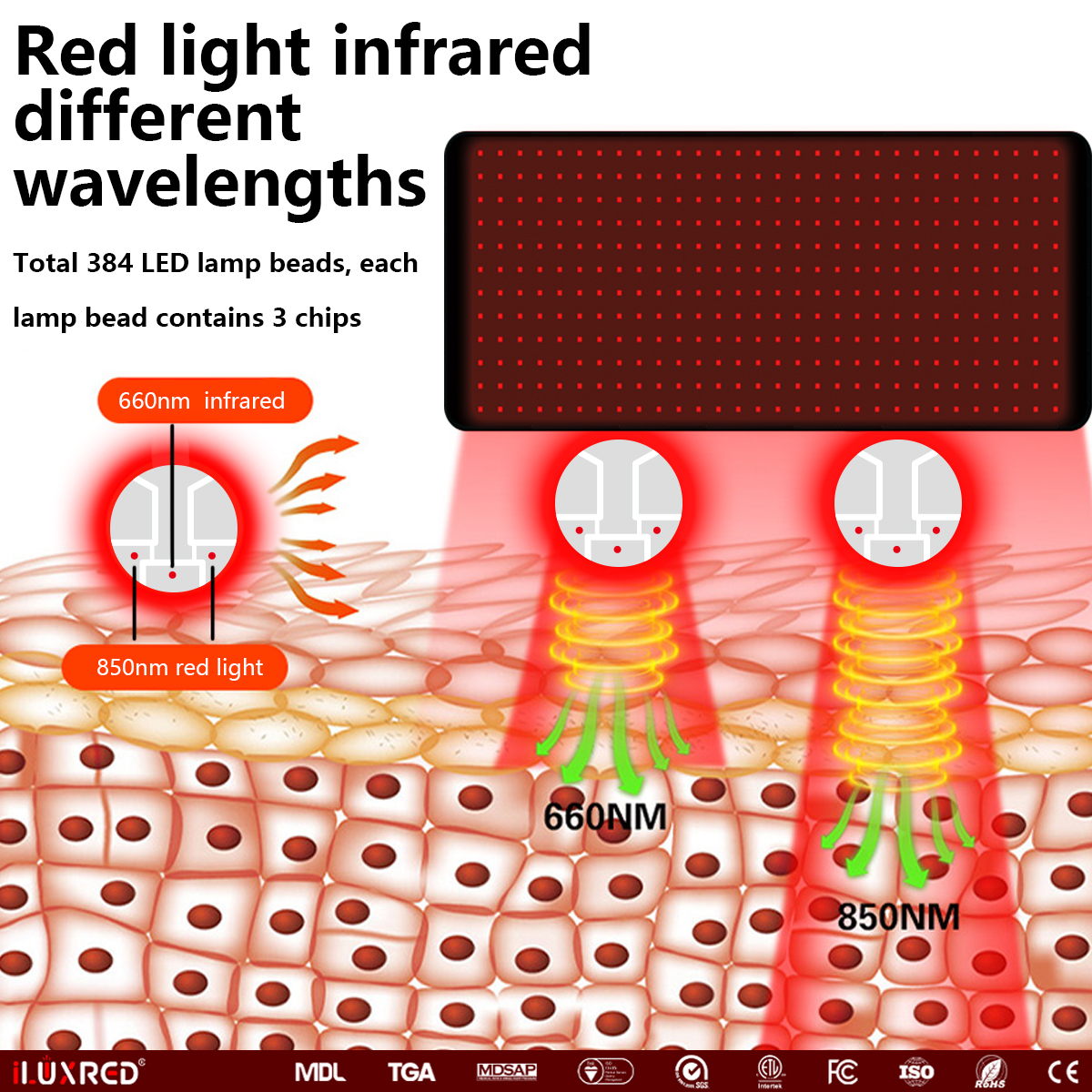 Cinturón de terapia de luz roja iLUXRED con LED infrarrojo para la cintura, 660 Nm, 850 Nm, masaje con calor, portátil, para uso doméstico. 4