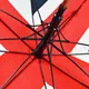 Umbrellas Manufacturer L/C Wholesale - Blueprint Umbrella 6