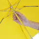 Mini Umbrellas in Bulk Available for Specifications and Quantities by Blueprint Umbrella 5