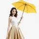 Small Purse Umbrella Within 35 Workdays Wholesale - Blueprint Umbrella 3